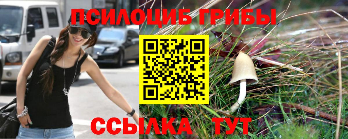 Саров  Псилоцибиновые грибы Magic Shrooms  Вход с VPN 